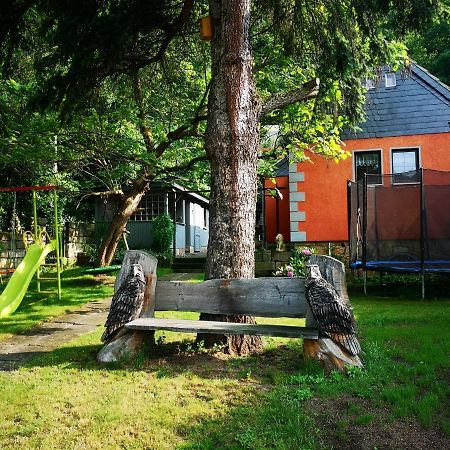 Ferienhaus Franz - An Der Elbe, Mit Grossem Garten Pirna Exteriör bild