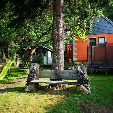 Ferienhaus Franz - An Der Elbe, Mit Grossem Garten Villa Pirna Exteriör bild