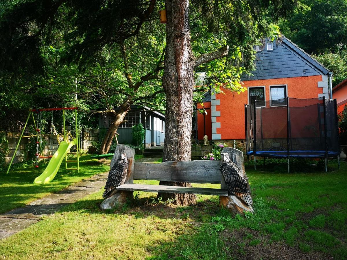 Ferienhaus Franz - An Der Elbe, Mit Grossem Garten Pirna Exteriör bild