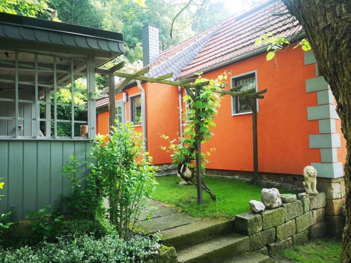 Ferienhaus Franz - An Der Elbe, Mit Grossem Garten Villa Pirna Exteriör bild