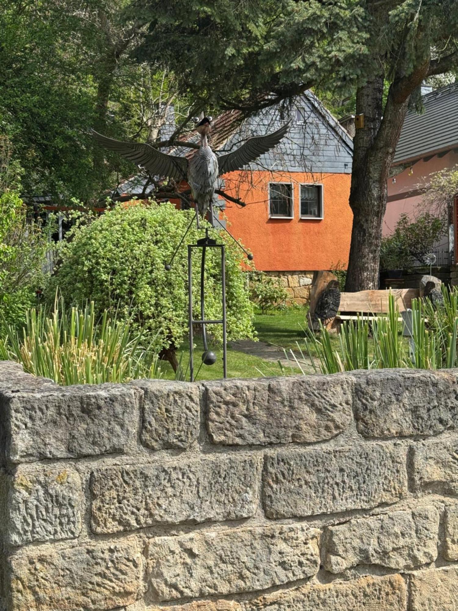 Ferienhaus Franz - An Der Elbe, Mit Grossem Garten Pirna Exteriör bild