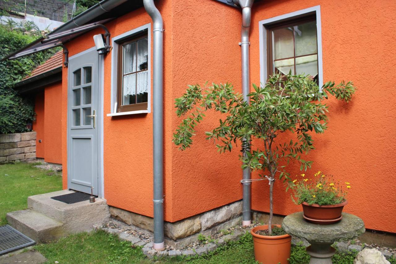 Ferienhaus Franz - An Der Elbe, Mit Grossem Garten Pirna Exteriör bild