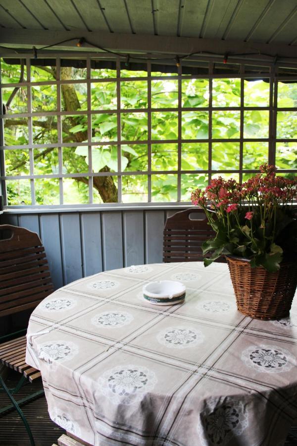 Ferienhaus Franz - An Der Elbe, Mit Grossem Garten Pirna Exteriör bild